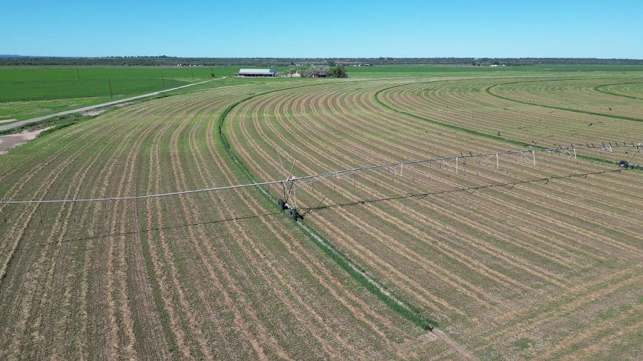 0 Bedroom Property for Sale in Douglas Rural Northern Cape